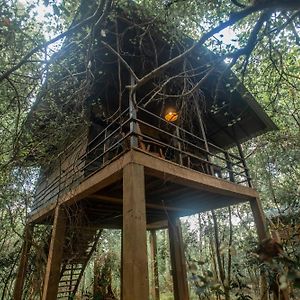 Inn On The Tree Eco Resort Sigiriya